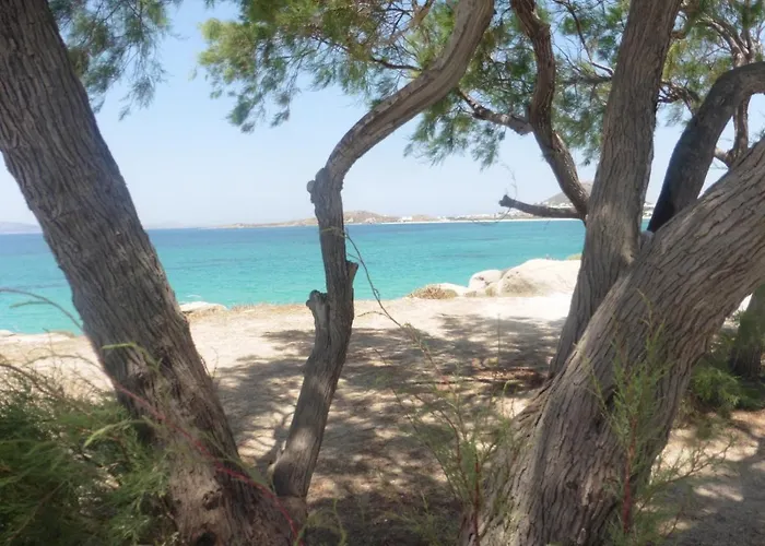 Hébergement de vacances Stou Chiou *